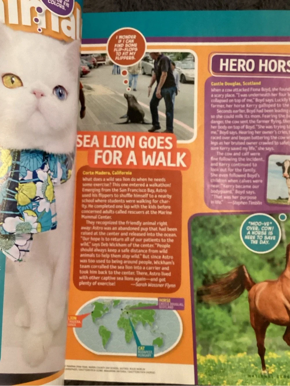 Feb 2018 National Geographic‎ Kids Animals You’ll Love